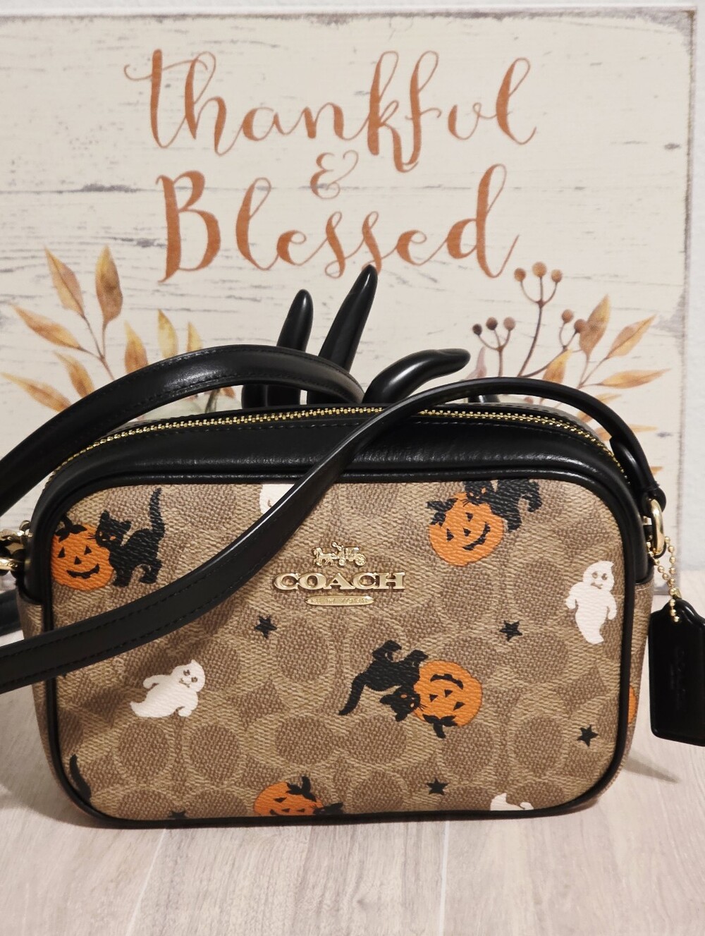 Coach RARE Halloween Mini Jamie Crossbody Bag Purse Cat Ghost Pumpkin CW432 🎃👻